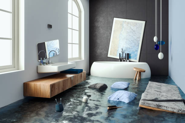 Best Residential water damage restoration  in Peotone, IL