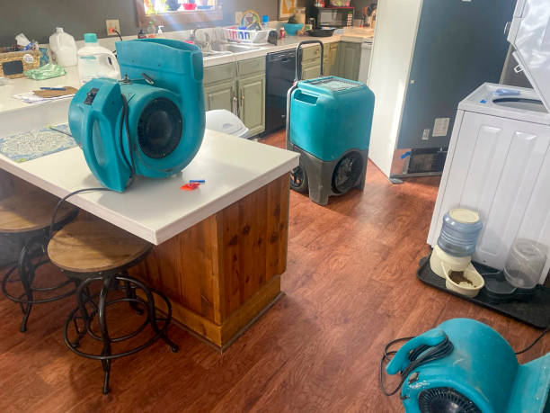 Best Professional water damage repair  in Peotone, IL