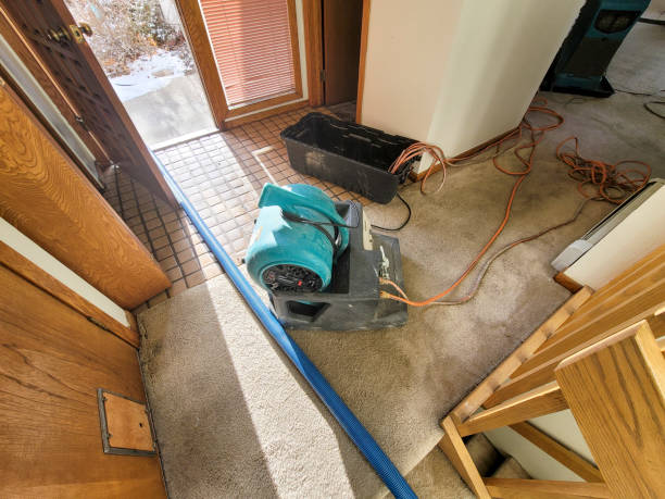 Fire Damage Restoration in IL