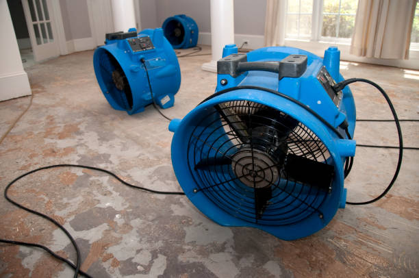  Peotone, IL Water damage restoration Pros