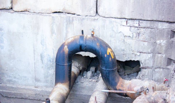 Best Basement water damage restoration  in Peotone, IL